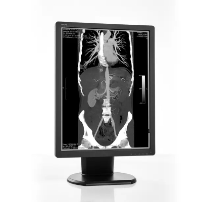 3MP Diagnostic Mono Display